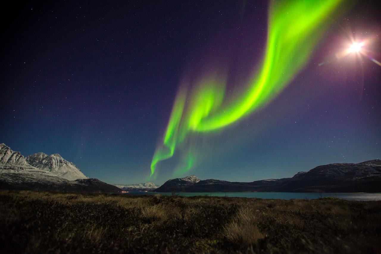 Arctic Panorama Lodge Uløybukta Exteriér fotografie