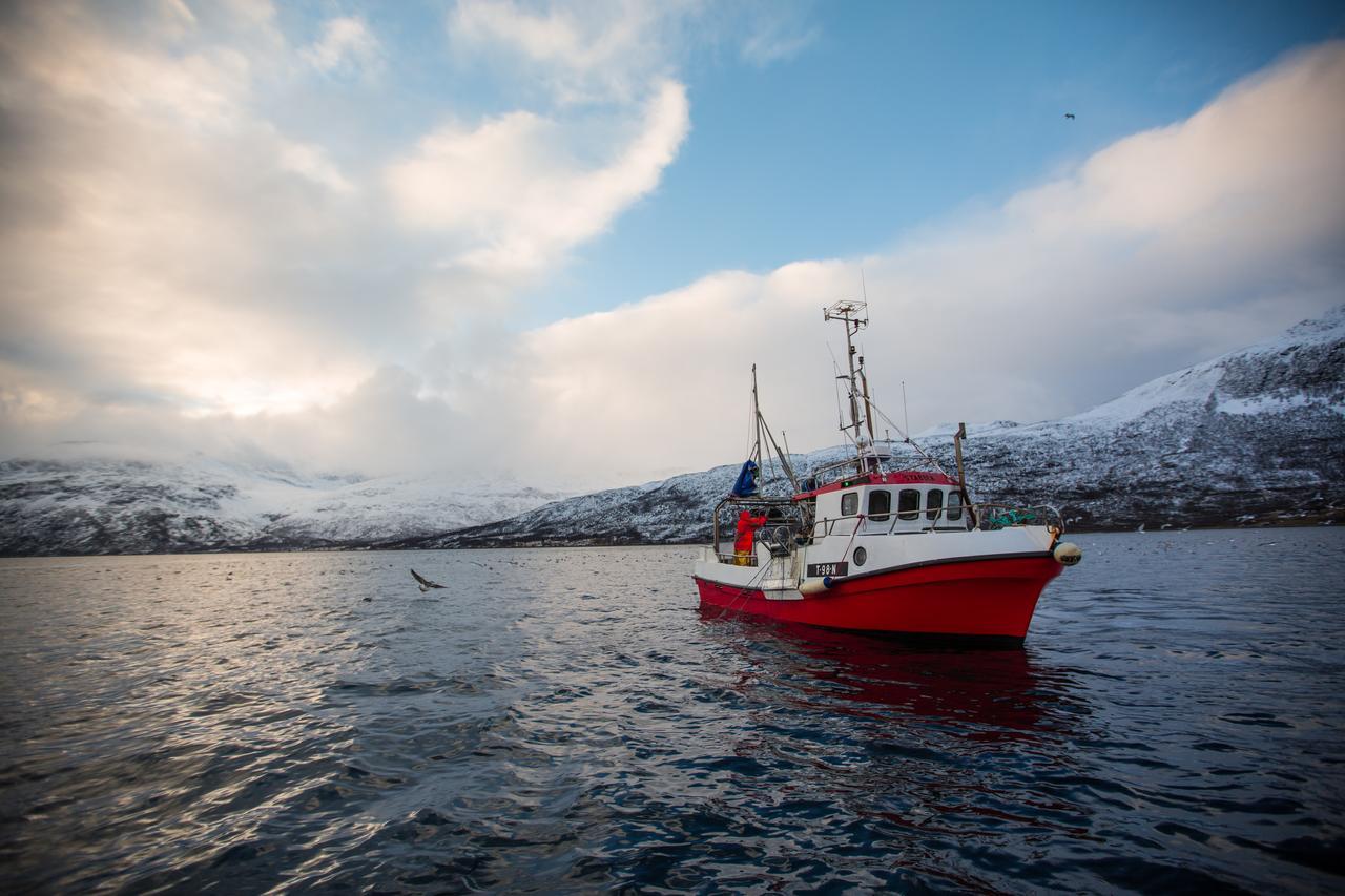 Arctic Panorama Lodge Uløybukta Exteriér fotografie