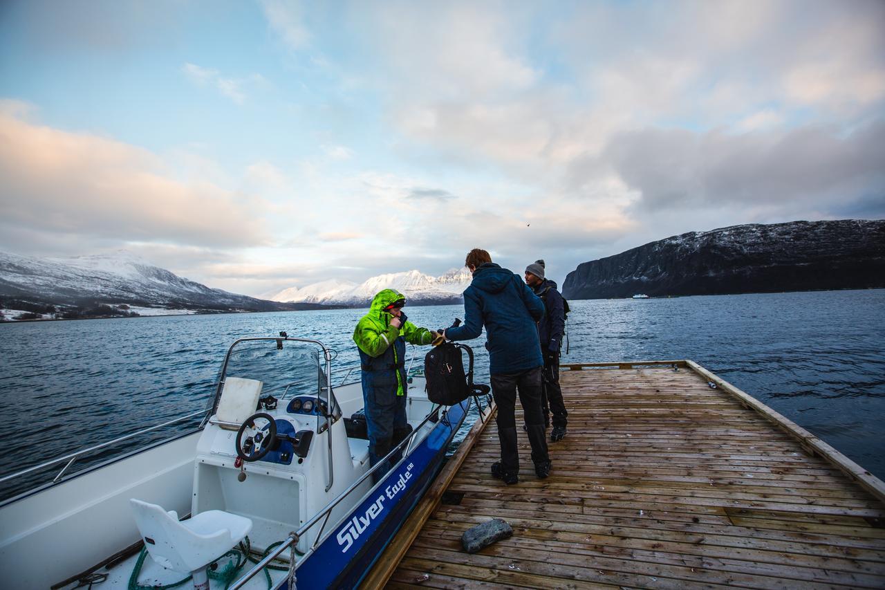 Arctic Panorama Lodge Uløybukta Exteriér fotografie