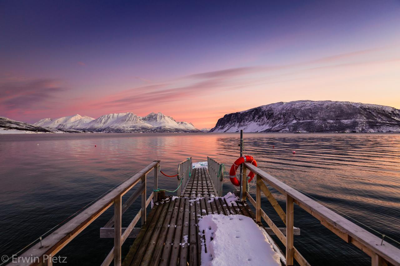 Arctic Panorama Lodge Uløybukta Exteriér fotografie